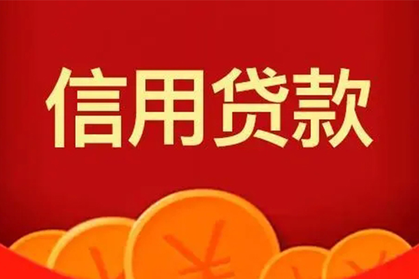上海信急民间借贷当天下款-上海信急私借空放直接上门-上海信急个人小额贷款
